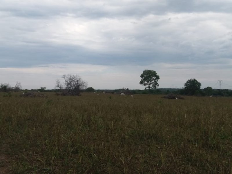 imóvel com 78m² - Centro - Pequizeiro