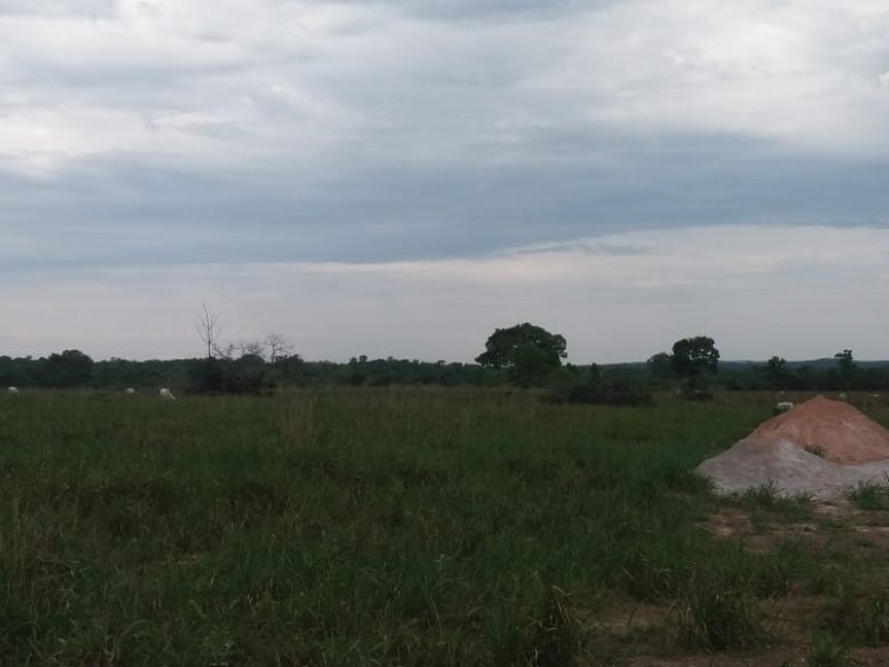 imóvel com 78m² - Centro - Pequizeiro