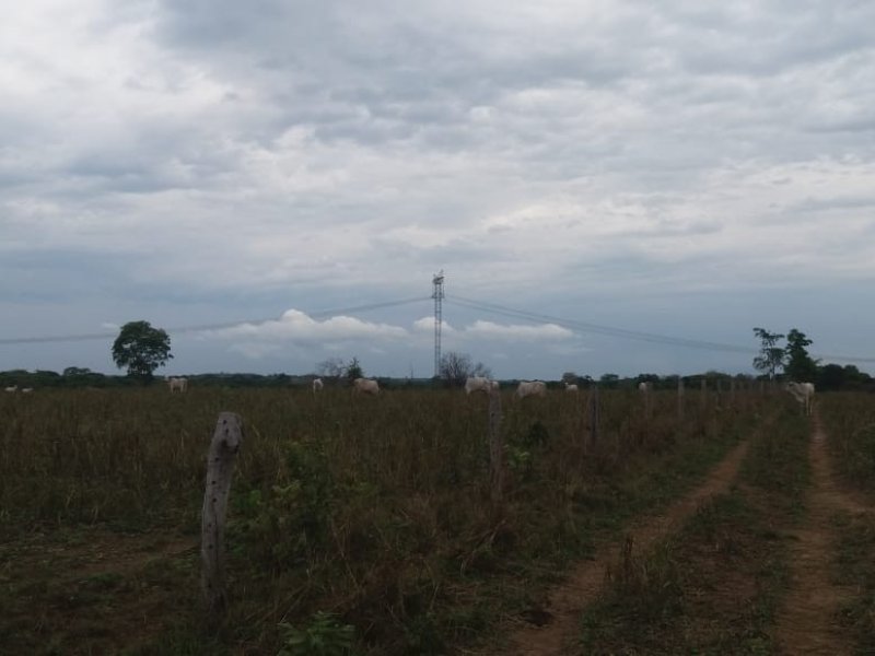imóvel com 78m² - Centro - Pequizeiro