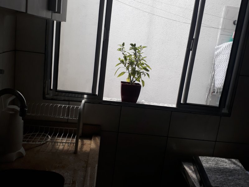 Casa de condomínio à venda Vila Carmosina com 72m² e 2 quartos por R$ 300.000 - 1396287216-20210202-133909.jpg