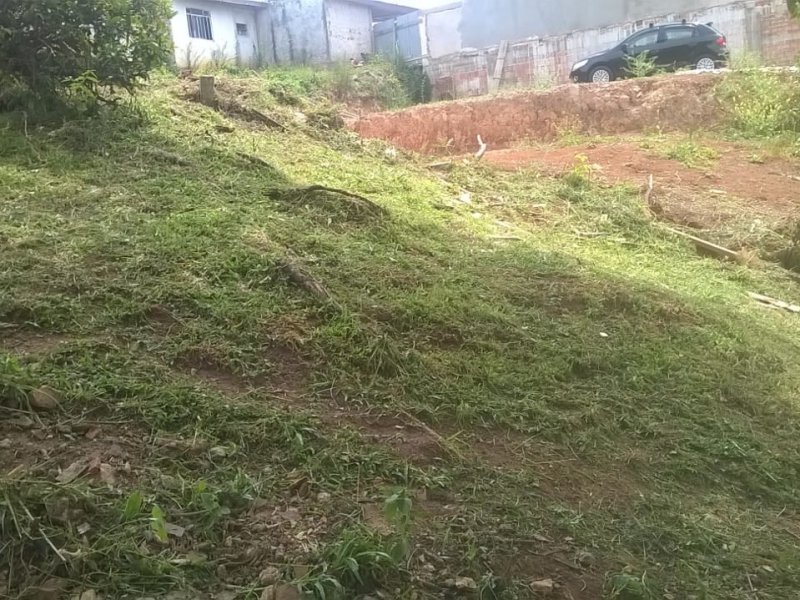 Terreno à venda Arruda com 353m² e 1 quarto por R$ 260.000 - 441461287-foto-06.jpeg