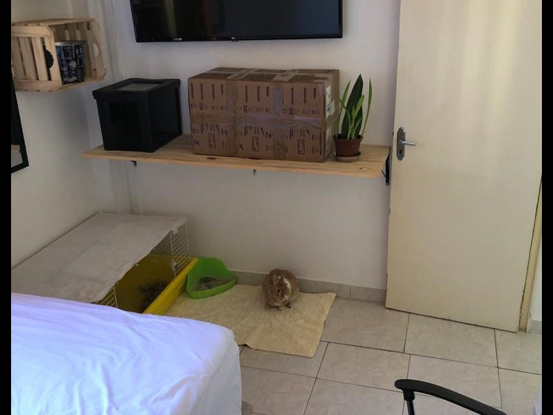 imóvel com 50m² - jardim santa cruz - Campinas