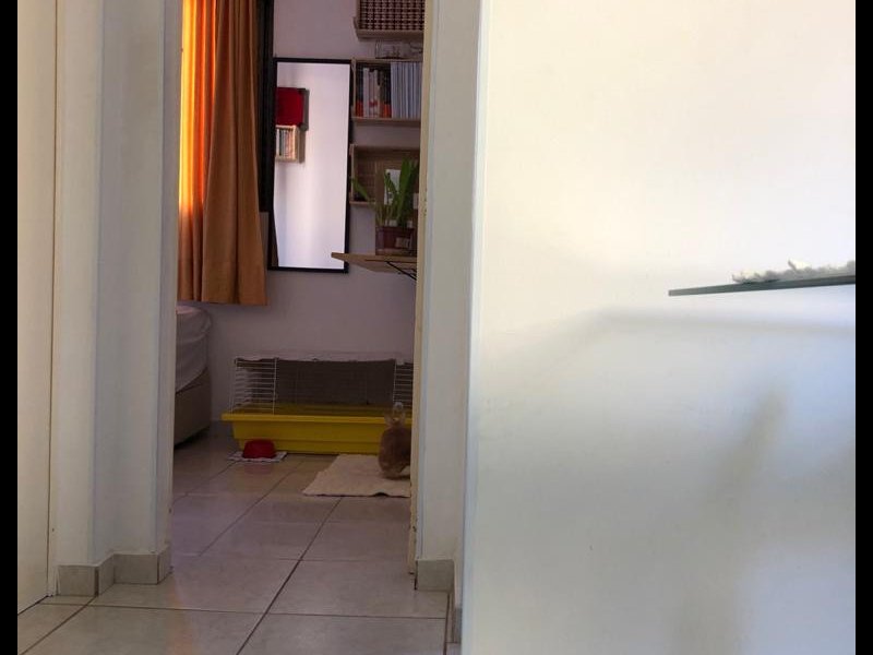 imóvel com 50m² - jardim santa cruz - Campinas