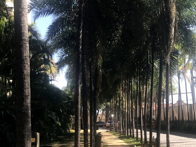 Apartamento à venda Água Branca com 41m² e 1 quarto por R$ 500.000 - 1644186328-img-8631.JPG