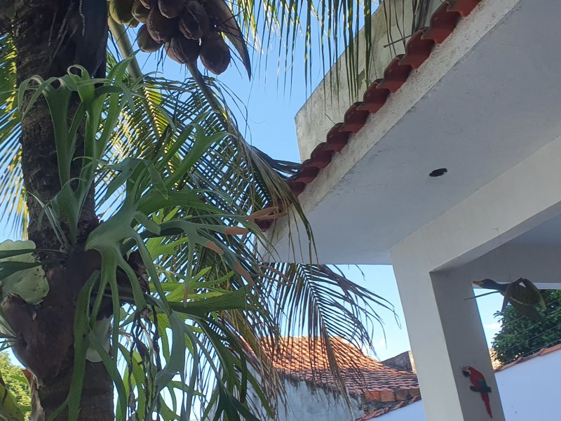 Casa à venda Santo Expedito com 200m² e 4 quartos por R$ 900.000 - 1790621412-20210702-145216.jpg