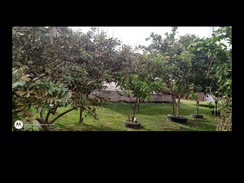 Terreno à venda Cidade de Deus com 766m² e 3 quartos por R$ 900.000 - 1567590863-screenshot-20210729-111920.png