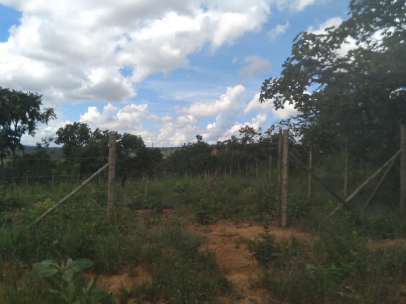 Terreno à venda Centro com 720m² e 1 quarto por R$ 80.000 - 1353435005-9c2f4b2c-25af-4e41-bad5-55647543ae31.jpeg
