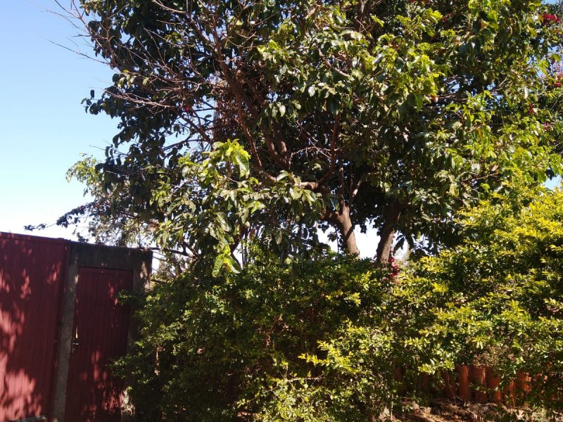 Casa de condomínio à venda Jardim Botanico com 90m² e 3 quartos por R$ 795.000 - 118954600-foto-8.jpeg