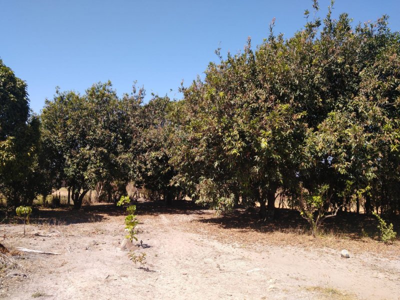 Casa de condomínio à venda Jardim Botanico com 90m² e 3 quartos por R$ 795.000 - 1490746444-foto-6.jpeg