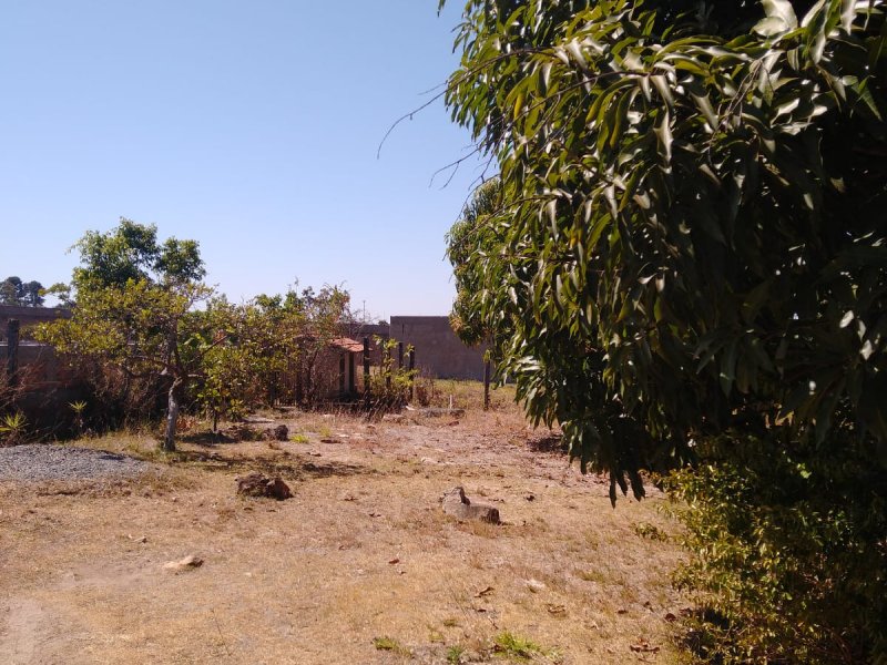 Casa de condomínio à venda Jardim Botanico com 90m² e 3 quartos por R$ 795.000 - 2044315014-foto-4.jpeg