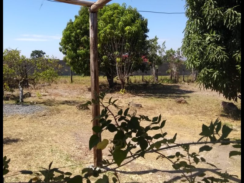 Casa de condomínio à venda Jardim Botanico com 90m² e 3 quartos por R$ 795.000 - 2100259384-foto-36.jpeg