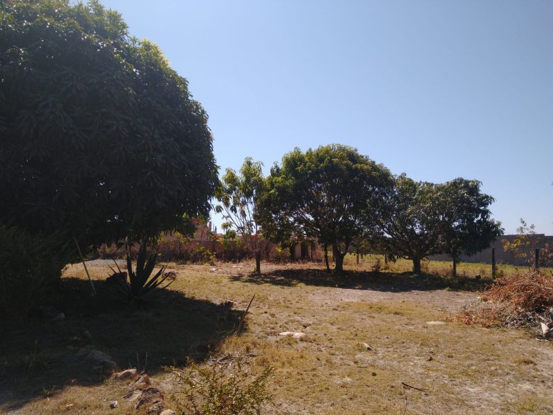 Casa de condomínio à venda Jardim Botanico com 90m² e 3 quartos por R$ 795.000 - 2129872634-foto-7.jpeg