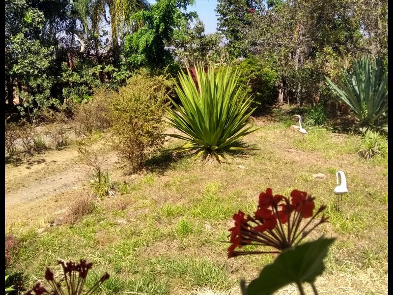 Casa de condomínio à venda Jardim Botanico com 90m² e 3 quartos por R$ 795.000 - 72806777-foto-35.jpeg