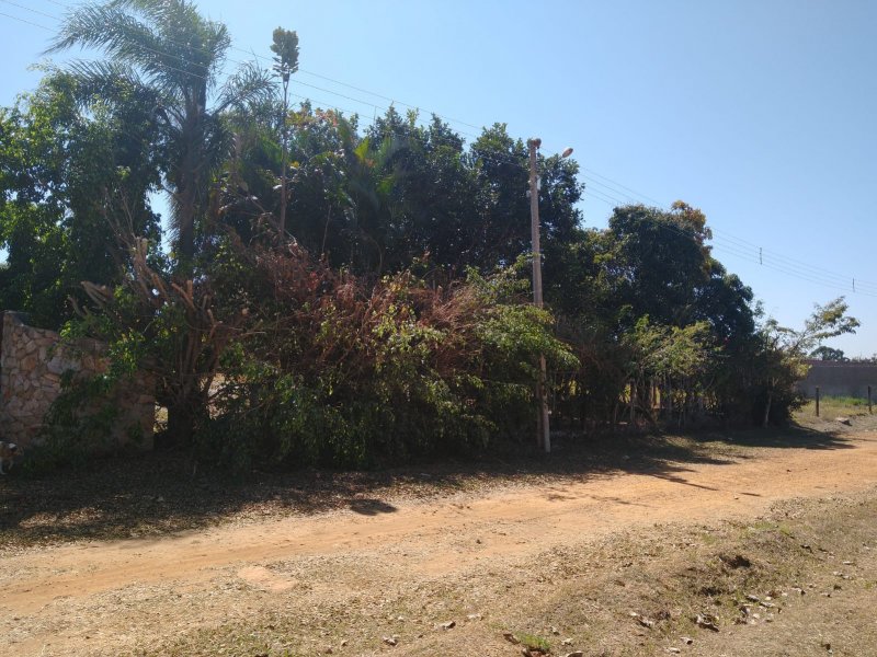 Casa de condomínio à venda Jardim Botanico com 90m² e 3 quartos por R$ 795.000 - 906746387-foto-11.jpeg