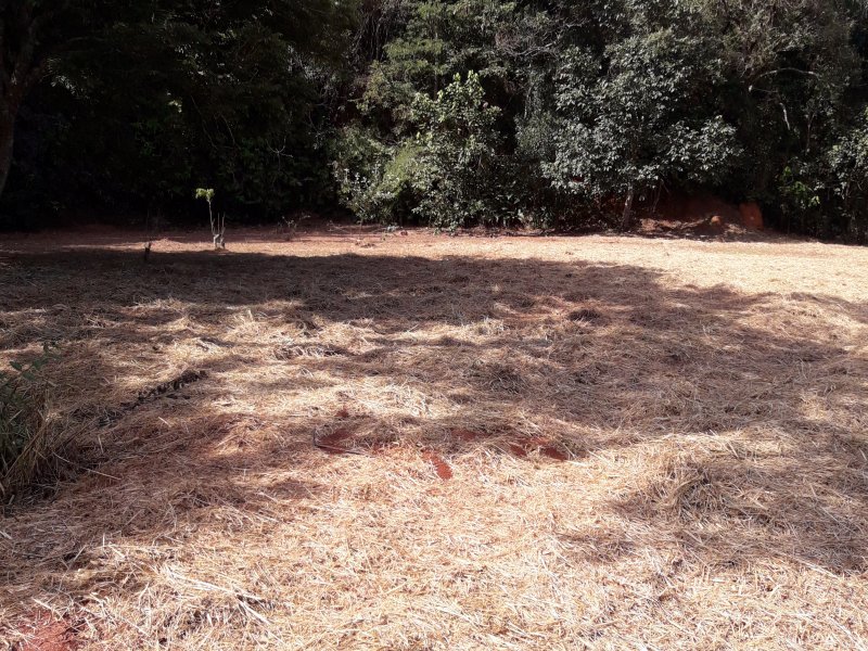 imóvel com 10000m² - Chácara Jaguari (Fazendinha) - Santana de Parnaiba