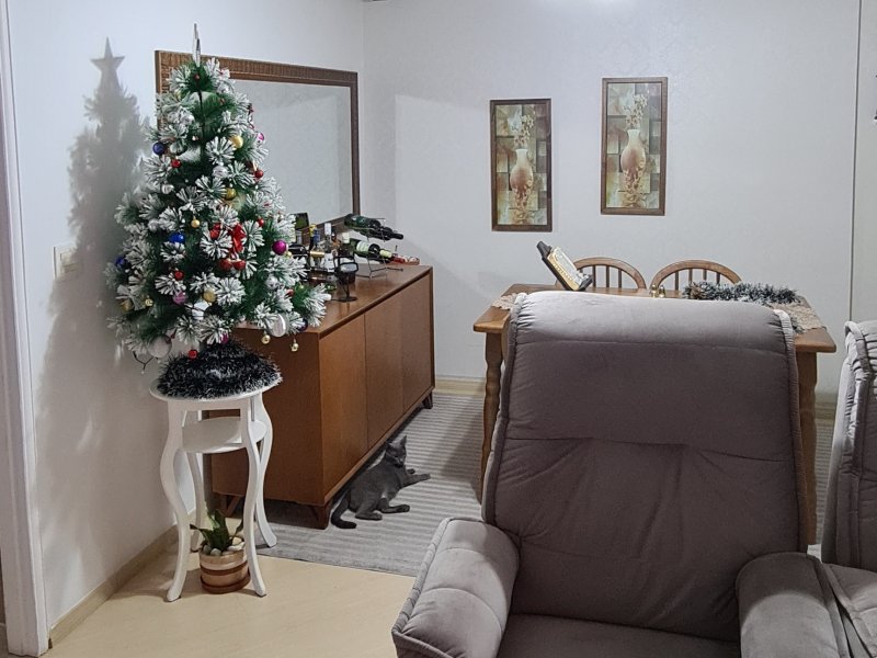 Apartamento à venda Vila Romero com 65m² e 2 quartos por R$ 300.000 - 712817736-20201125-204731-2.jpg