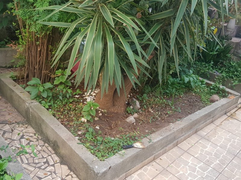 Casa à venda Vila Bertioga com 149m² e 4 quartos por R$ 850.000 - 499815874-fa2173c1-220b-4892-a514-d4f47df32ef9.jpeg