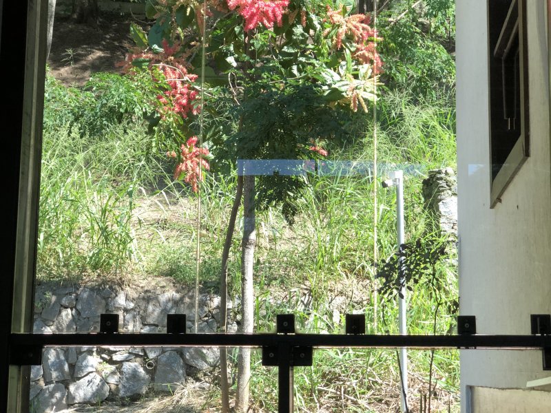 Casa à venda Serra Grande com 360m² e 4 quartos por R$ 750.000 - 463778117-img-1921.JPG