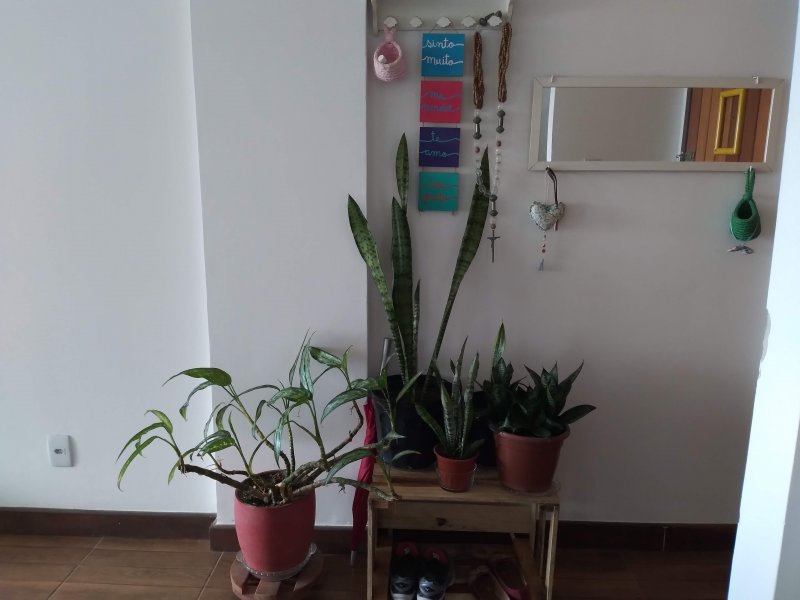 Apartamento à venda Rio Vermelho com 75m² e 2 quartos por R$ 410.000 - 1304580965-20210804-100702.jpg