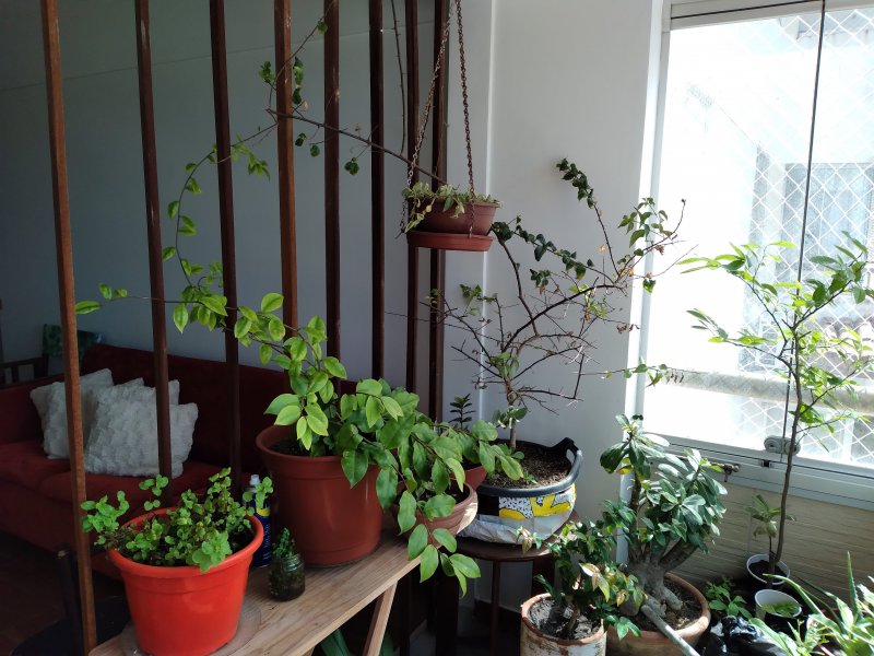 Apartamento à venda Rio Vermelho com 75m² e 2 quartos por R$ 410.000 - 1437867771-20210804-100455.jpg