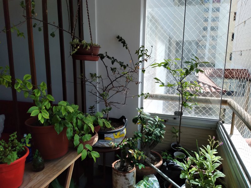 Apartamento à venda Rio Vermelho com 75m² e 2 quartos por R$ 410.000 - 538539221-20210804-100444.jpg