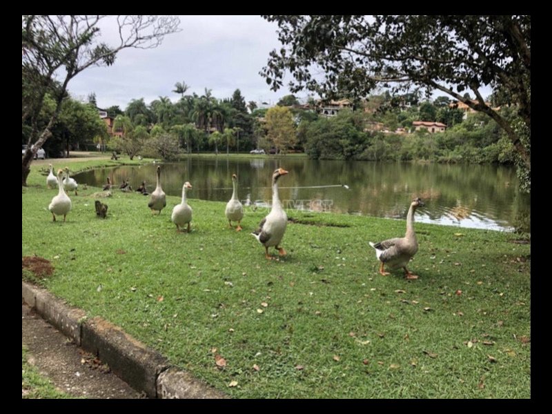 imóvel com 450m² - Granja Viana - Cotia