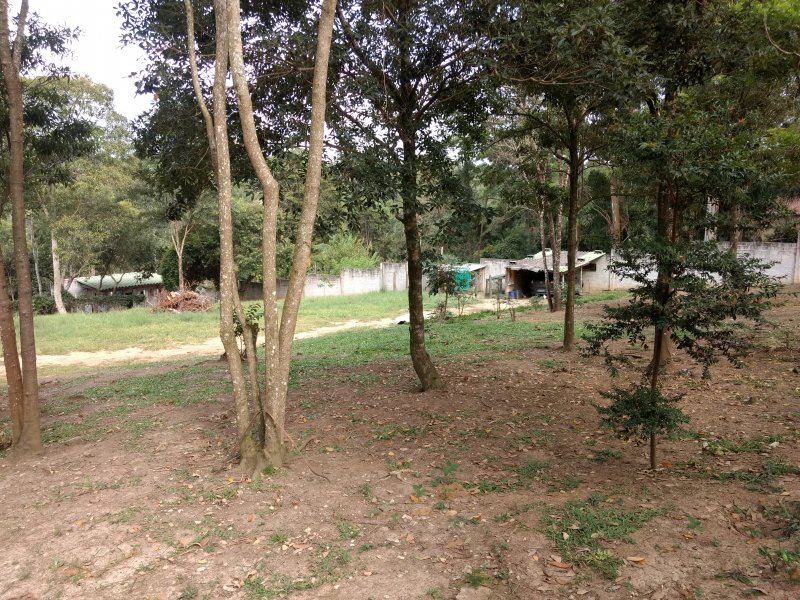 Terreno à venda Praia Azul com 3000m² e 1 quarto por R$ 650.000 - 763270966-vista-das-arvores-da-entrada.jpg