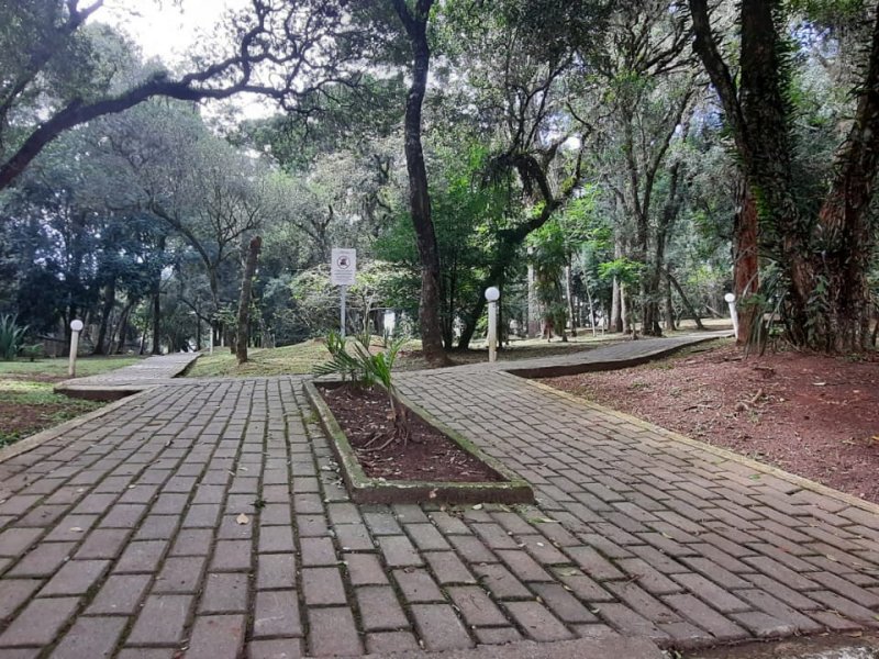 imóvel com 55m² - Afonso Pena - São José dos Pinhais