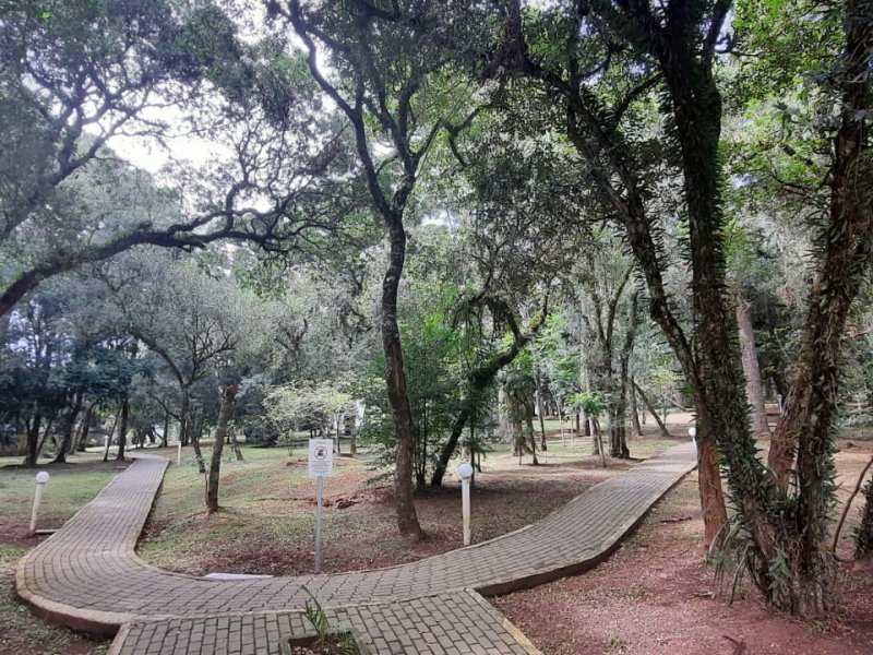 imóvel com 55m² - Afonso Pena - São José dos Pinhais