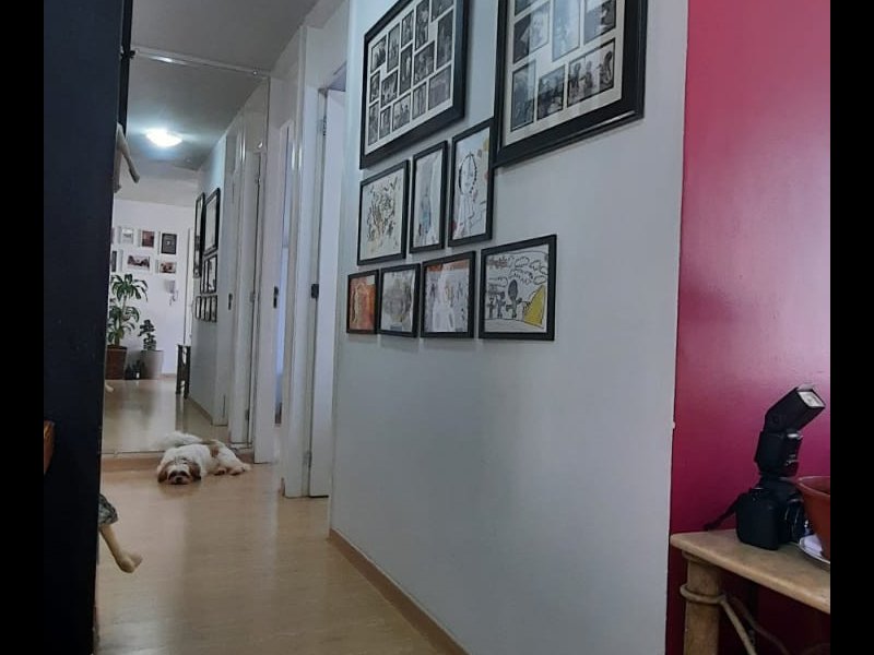 imóvel com 55m² - Afonso Pena - São José dos Pinhais