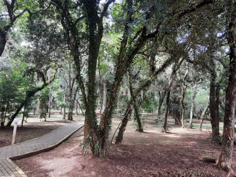 imóvel com 55m² - Afonso Pena - São José dos Pinhais