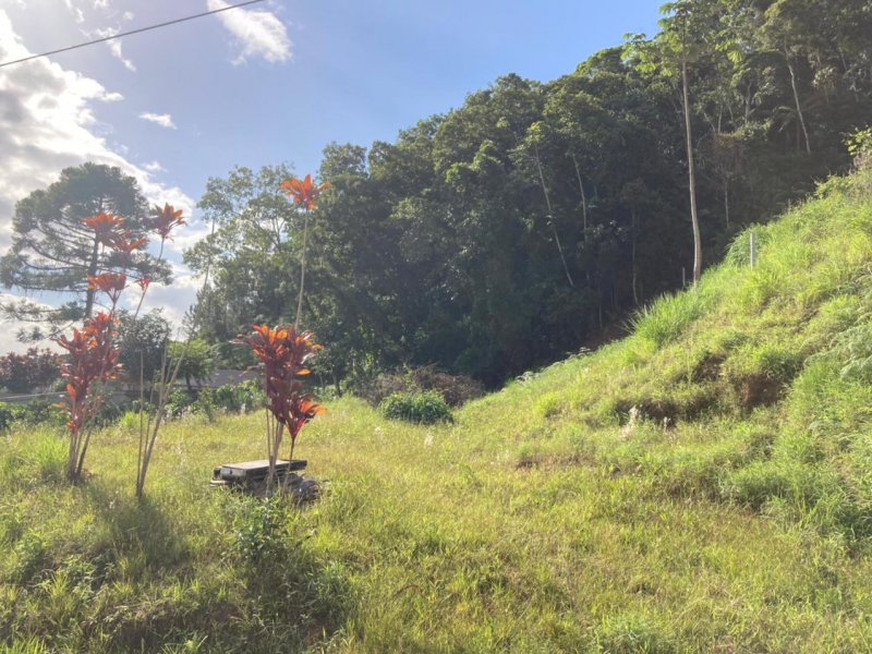 imóvel com 579m² - Souza Cruz - Brusque