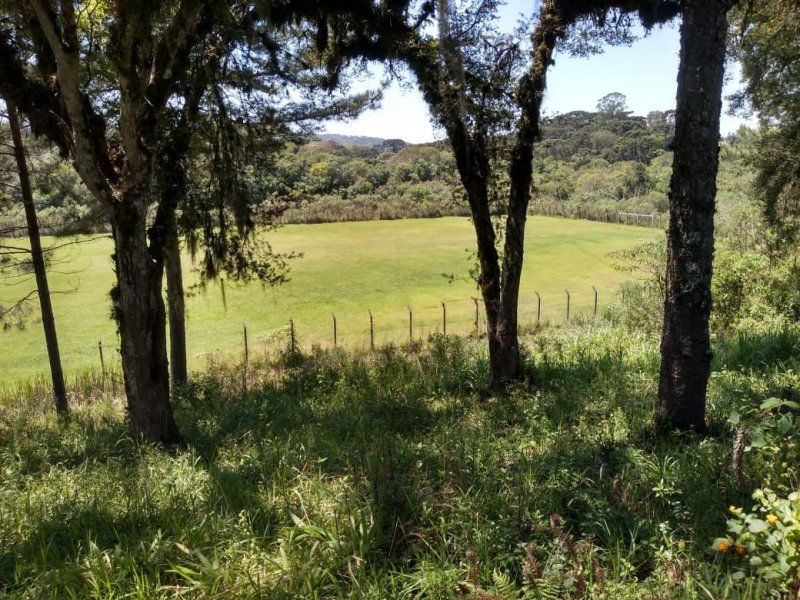 Casa à venda Mato Preto com 141m² e 3 quartos por R$ 390.000 - 1152076943-6e03a2b8-0d0d-4e1c-b6cf-2f9510263639.jpg