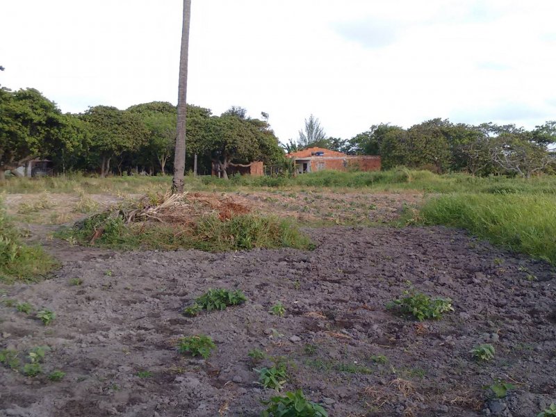 Sítio à venda Lagoa Sapiranga (Coité) com 13471m² e 1 quarto por R$ 1.500.000 - 1494940290-23405855-1890383031278827-2863674166161041327-o.jpg