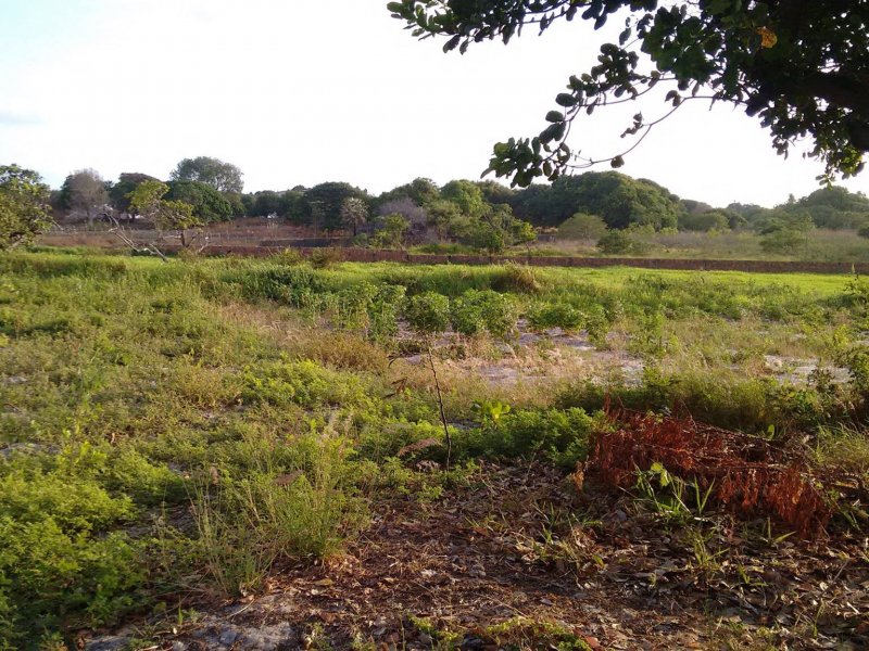 Sítio à venda Lagoa Sapiranga (Coité) com 13471m² e 1 quarto por R$ 1.500.000 - 1543352970-23456263-1890382614612202-4039738435010318419-o.jpg