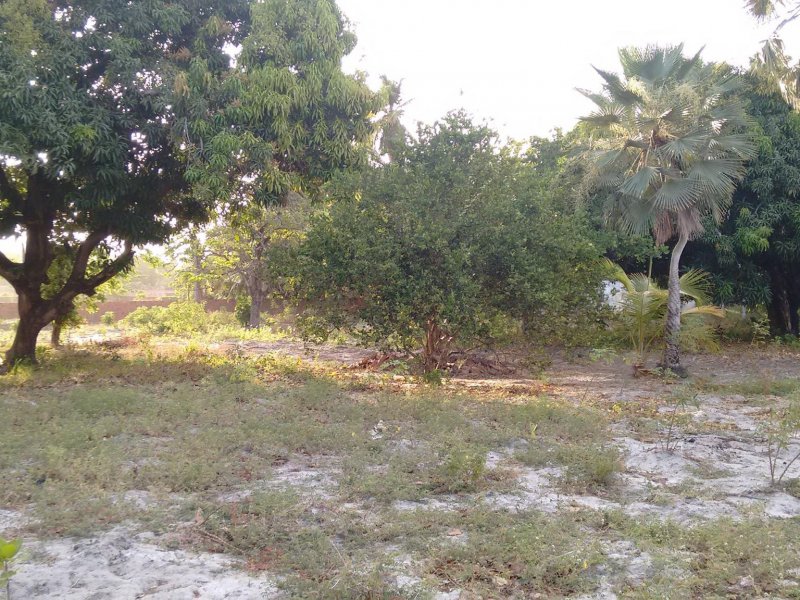 Sítio à venda Lagoa Sapiranga (Coité) com 13471m² e 1 quarto por R$ 1.500.000 - 1700097694-23467109-1890382191278911-7813626293025474670-o.jpg