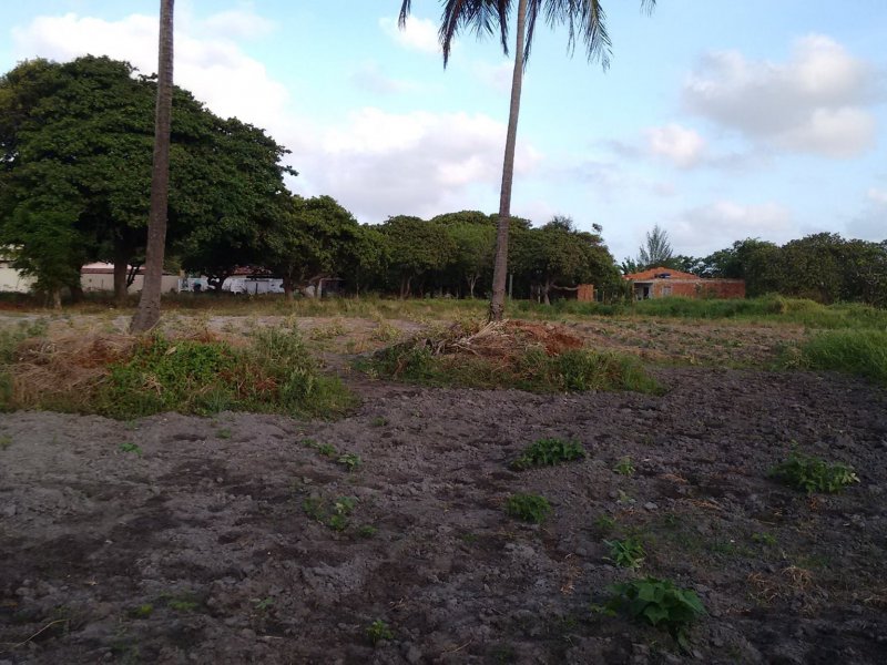 Sítio à venda Lagoa Sapiranga (Coité) com 13471m² e 1 quarto por R$ 1.500.000 - 17268041-23511437-1890382797945517-4908446323229803798-o.jpg