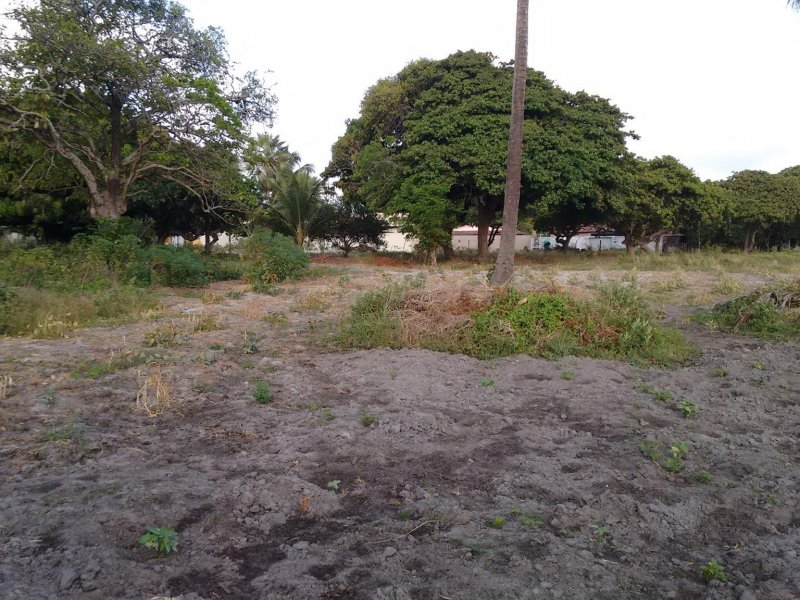 Sítio à venda Lagoa Sapiranga (Coité) com 13471m² e 1 quarto por R$ 1.500.000 - 1813705414-23405830-1890382794612184-80655033207100670-o.jpg