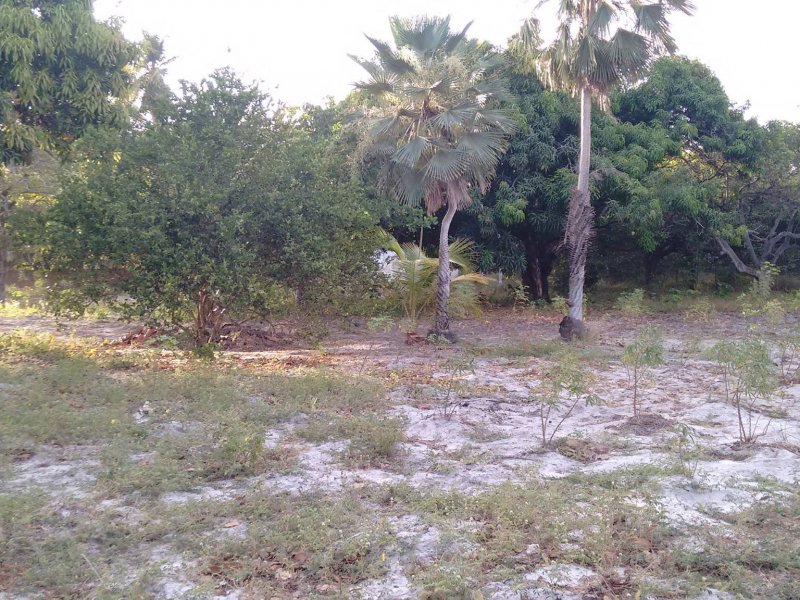 Sítio à venda Lagoa Sapiranga (Coité) com 13471m² e 1 quarto por R$ 1.500.000 - 1993474431-23509125-1890382567945540-532350676223432902-o.jpg