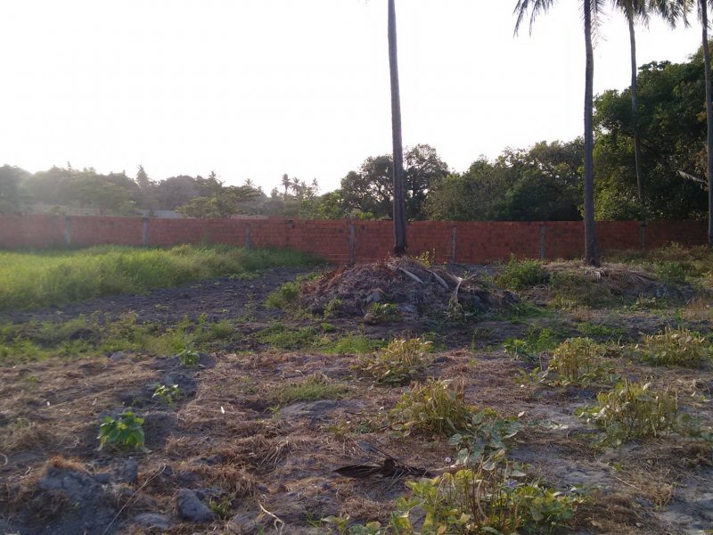 Sítio à venda Lagoa Sapiranga (Coité) com 13471m² e 1 quarto por R$ 1.500.000 - 2139067784-23334338-1890382757945521-2456776650943547620-o.jpg