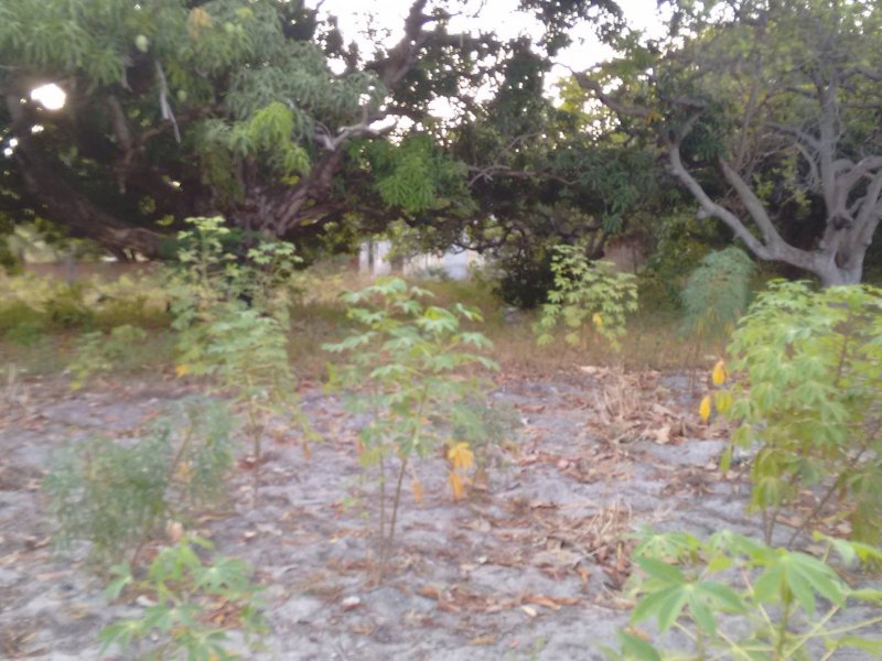 Sítio à venda Lagoa Sapiranga (Coité) com 13471m² e 1 quarto por R$ 1.500.000 - 229595820-23467105-1890383024612161-201398819018972195-o.jpg