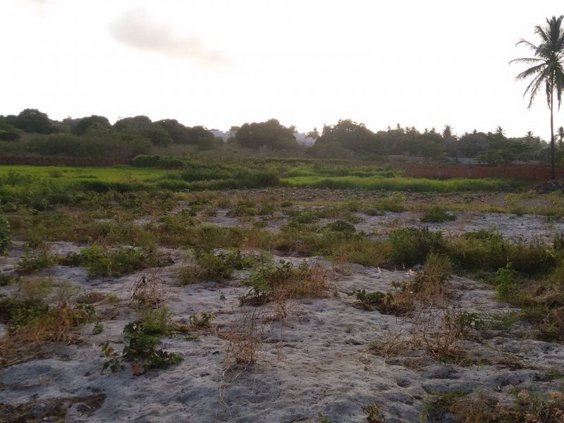 Sítio à venda Lagoa Sapiranga (Coité) com 13471m² e 1 quarto por R$ 1.500.000 - 245484285-23405845-1890382647945532-6819946221959213726-o.jpg