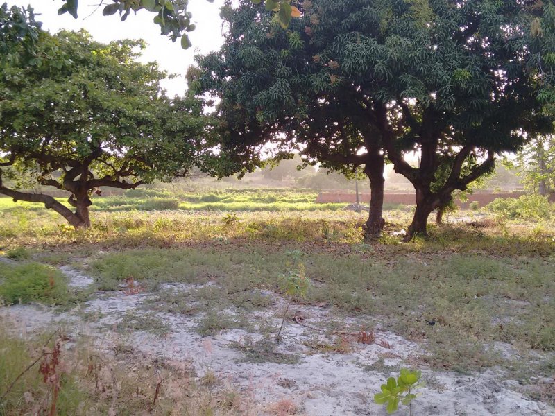 Sítio à venda Lagoa Sapiranga (Coité) com 13471m² e 1 quarto por R$ 1.500.000 - 300356982-23509432-1890382497945547-3183526700380479554-o.jpg