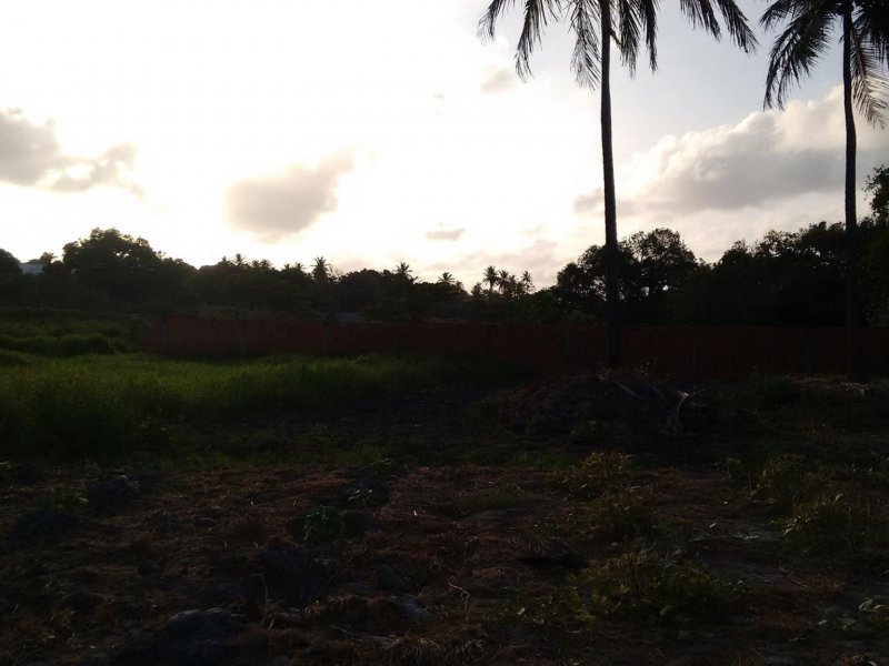 Sítio à venda Lagoa Sapiranga (Coité) com 13471m² e 1 quarto por R$ 1.500.000 - 303026438-23467025-1890382727945524-6682561995809174324-o.jpg