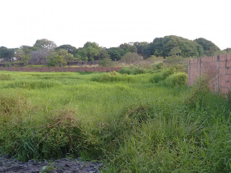 Sítio à venda Lagoa Sapiranga (Coité) com 13471m² e 1 quarto por R$ 1.500.000 - 368564148-23334118-1890382837945513-310213593440365021-o.jpg