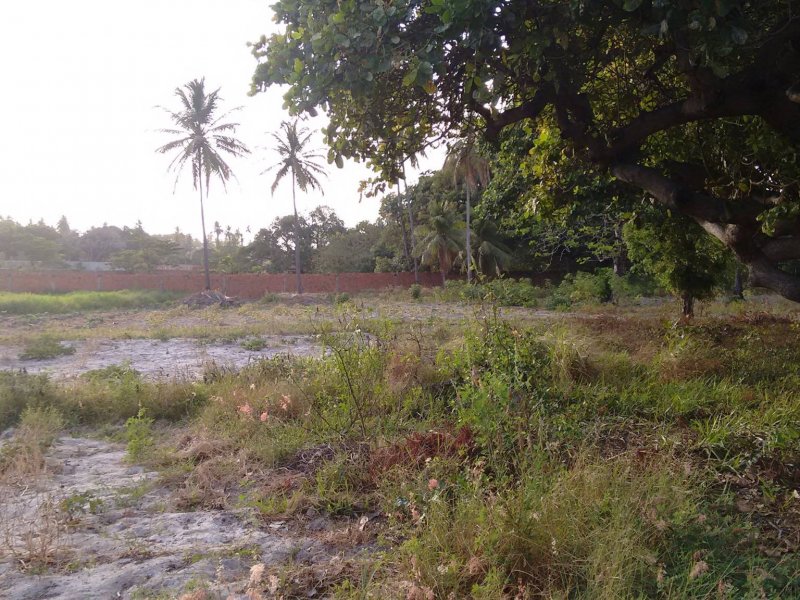 Sítio à venda Lagoa Sapiranga (Coité) com 13471m² e 1 quarto por R$ 1.500.000 - 60327717-23509011-1890382691278861-4384447442548384837-o.jpg