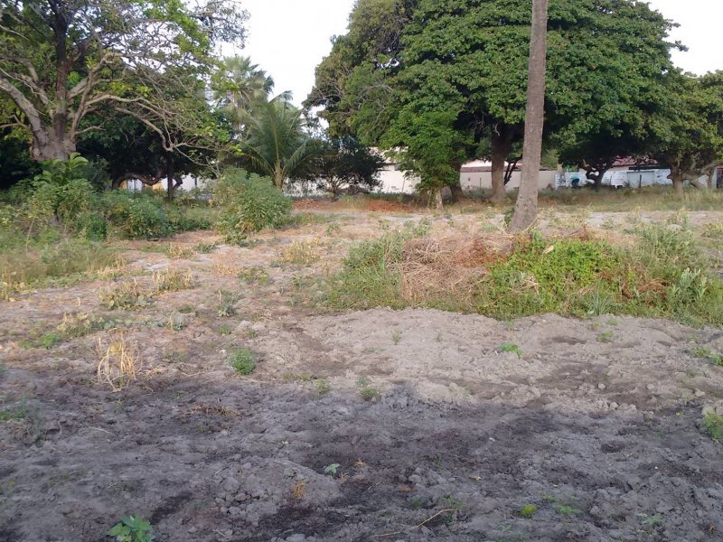 Sítio à venda Lagoa Sapiranga (Coité) com 13471m² e 1 quarto por R$ 1.500.000 - 962279370-23405908-1890383064612157-6490270969573701334-o.jpg