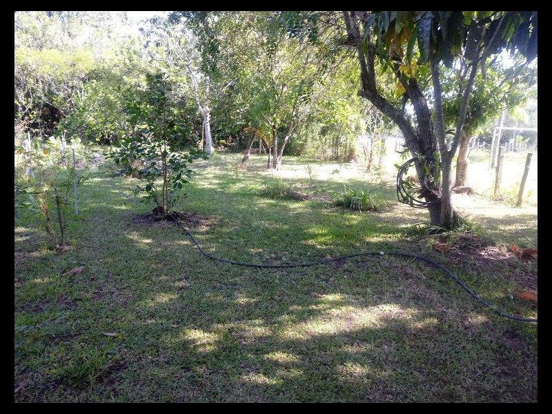 Chácara à venda Extrema com 15000m² e 2 quartos por R$ 215.000 - 1575742916-b3.jpg