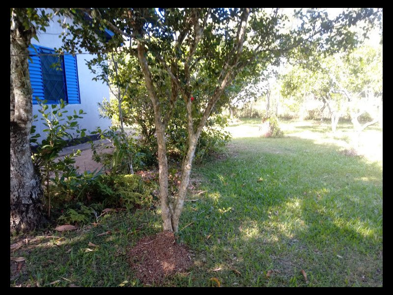 Chácara à venda Extrema com 15000m² e 2 quartos por R$ 215.000 - 204773291-b4.jpg