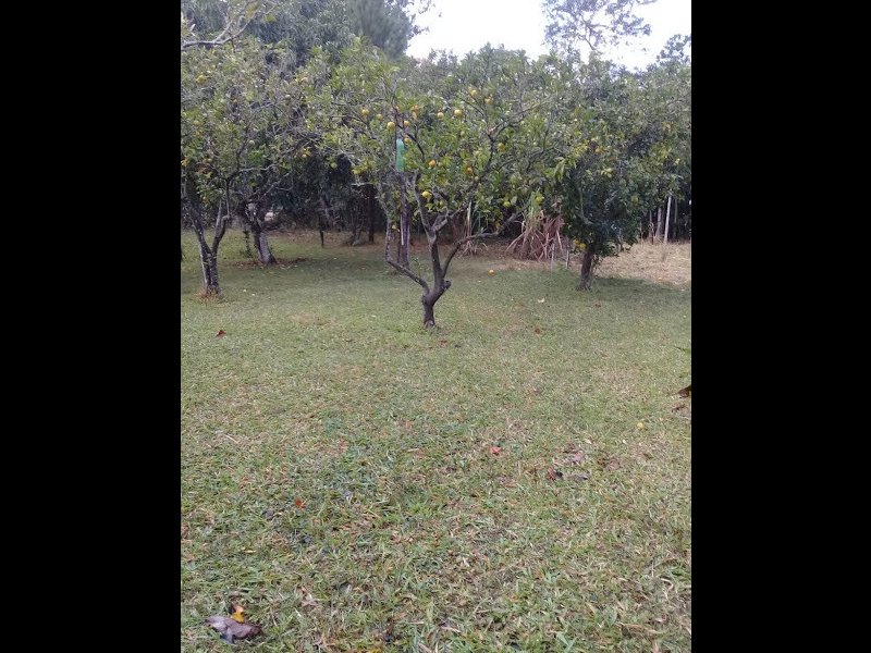 Chácara à venda Extrema com 15000m² e 2 quartos por R$ 215.000 - 43877127-img-20210425-wa0017.jpg